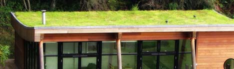 turf live roof turf live roof