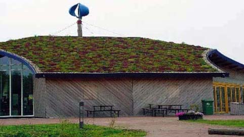 commercial sedum roof