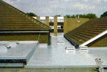 grp flat roof with flat roof windows