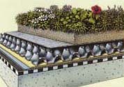 green roof garden roofing system