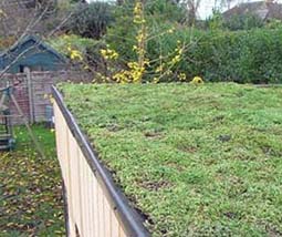 extensive green roof office cube